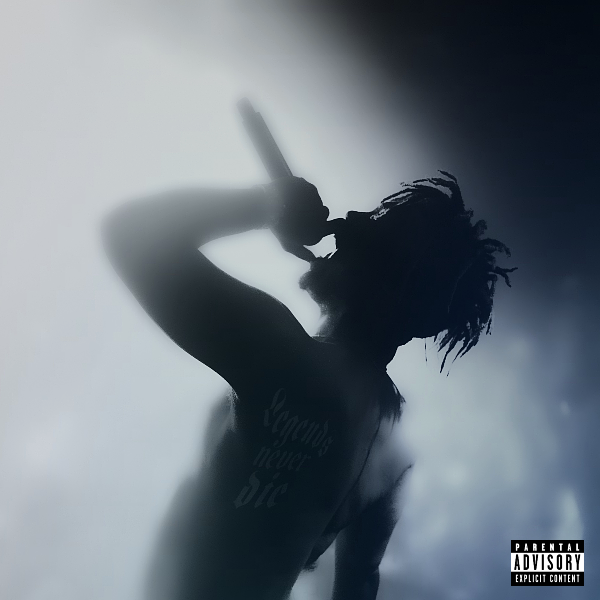 To The Face (v2) cover